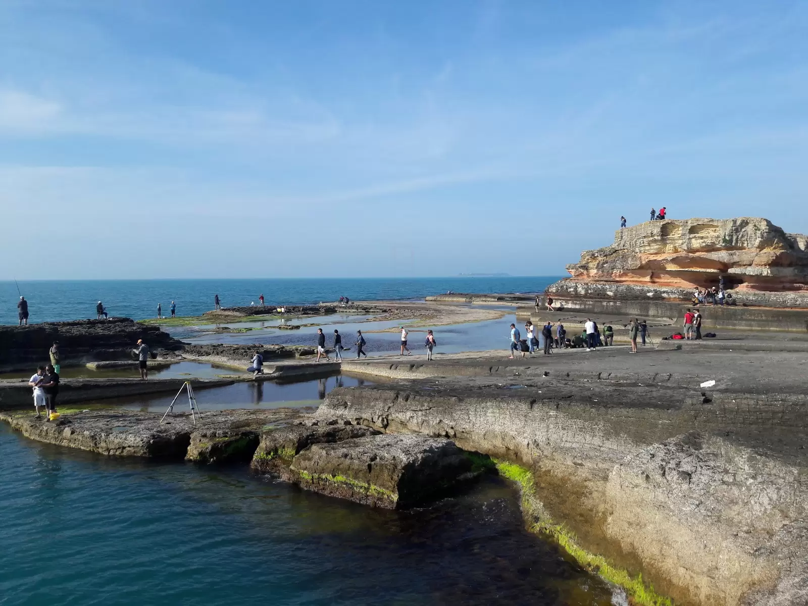 Пембе Каяликлар