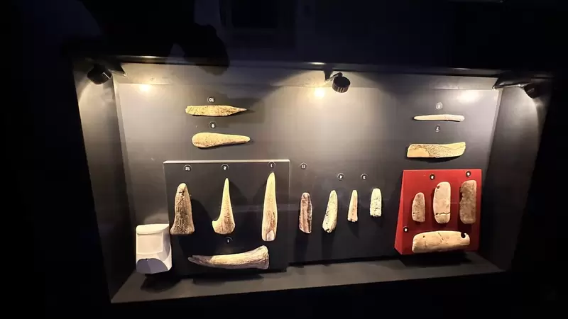 Discover Diyarbakır Museum