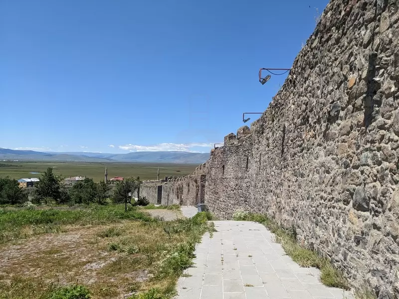 Замок Ардахан