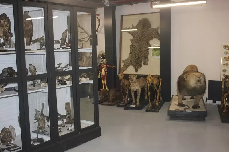 Откройте для себя Стамбульский зоологический музей