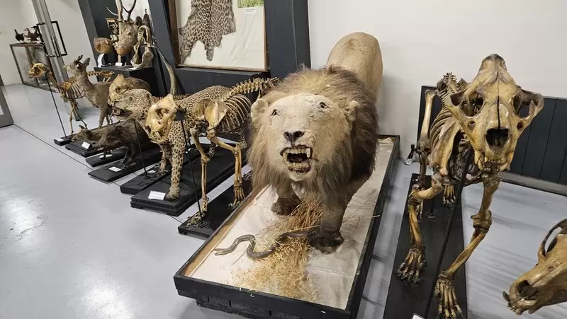 İstanbul Zooloji Müzesi