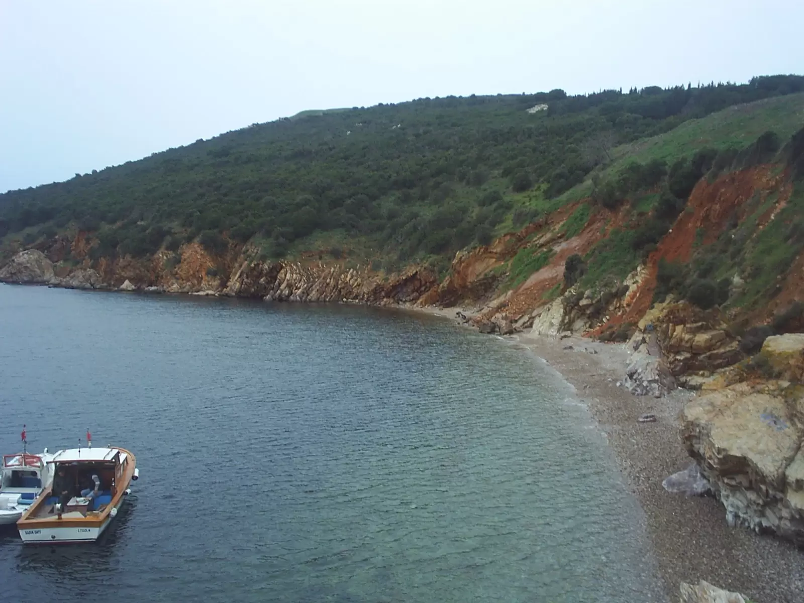 Spiaggia della foresta dei martiri di Buyukada Kursunburnu