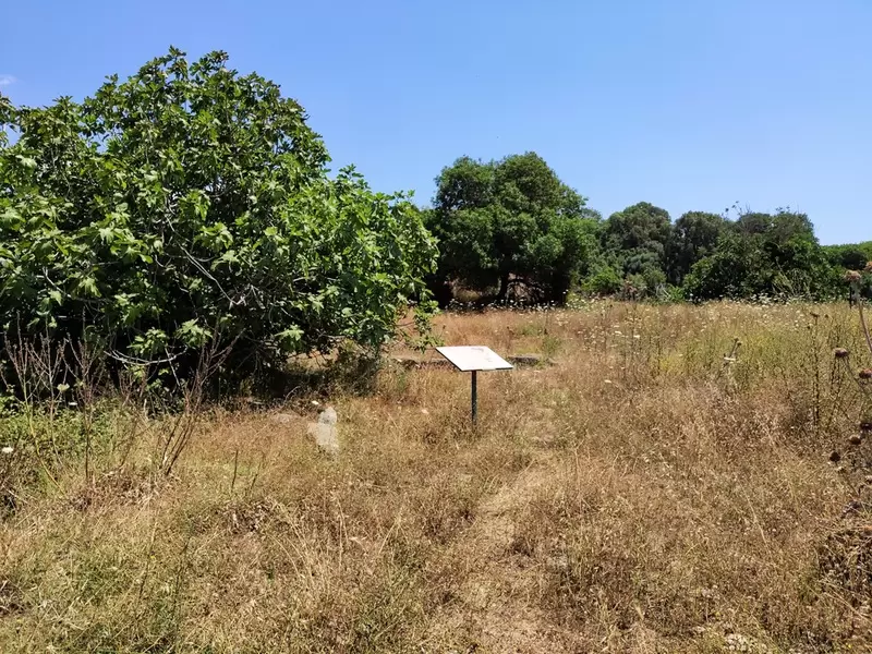 Древний город Сайм