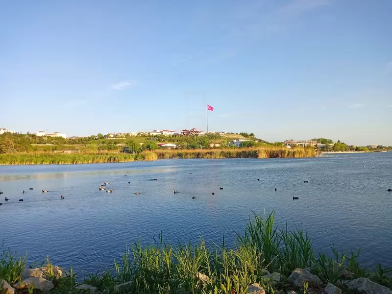 Lago Mogán