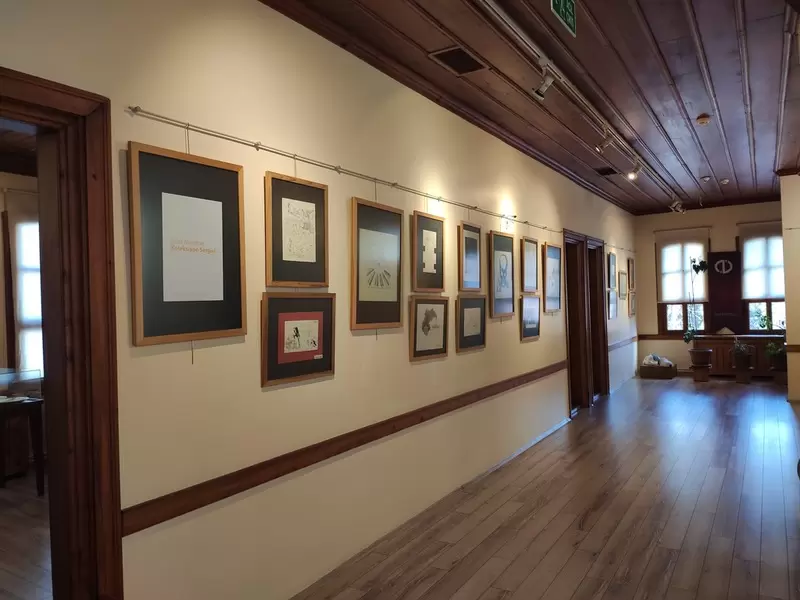 Découvrez le musée de la caricature d'Eskişehir