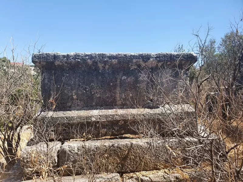 埃米尔泽利古城
