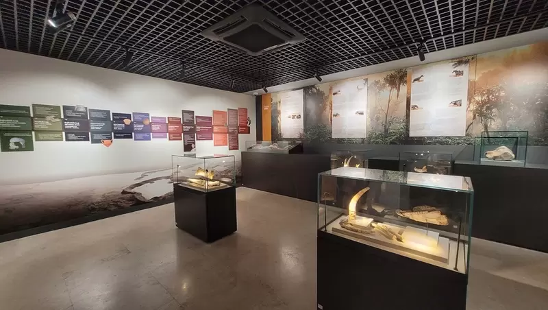 Denizli Müzesi'ni keşfedin