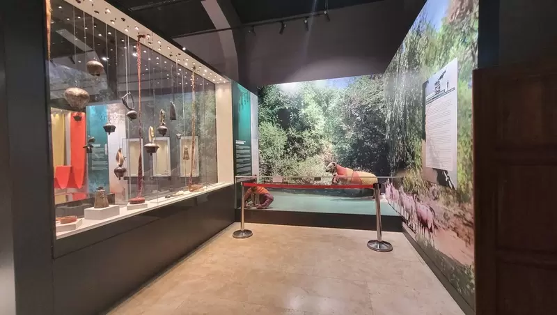 Denizli Müzesi'ni keşfedin