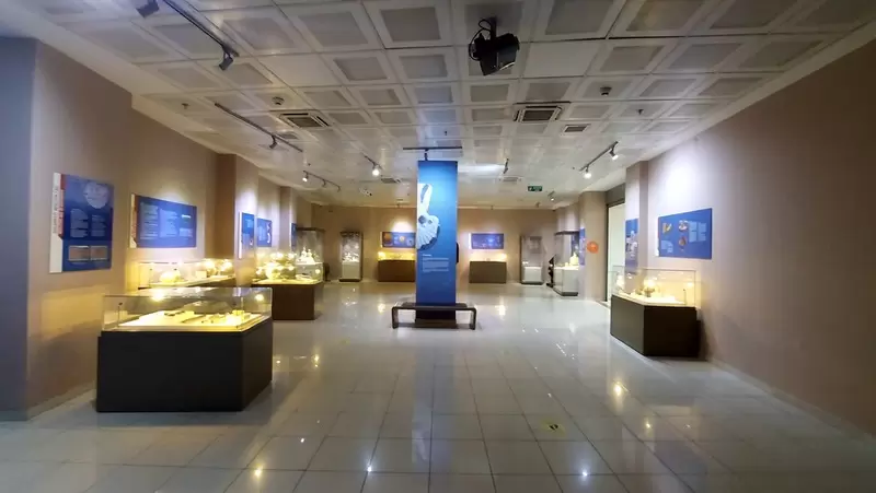 Discover Batman Museum