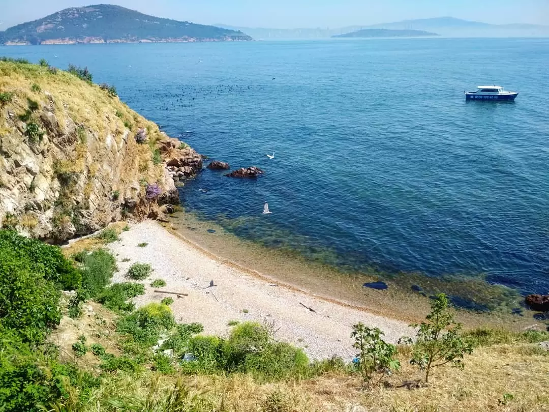 Isola di Tavsan
