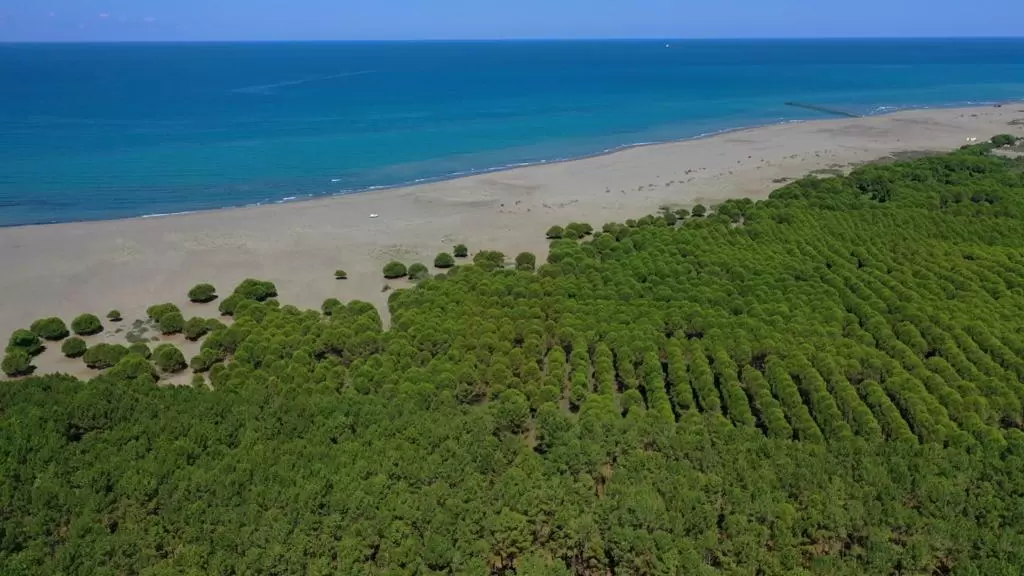 Playa Hurriyet