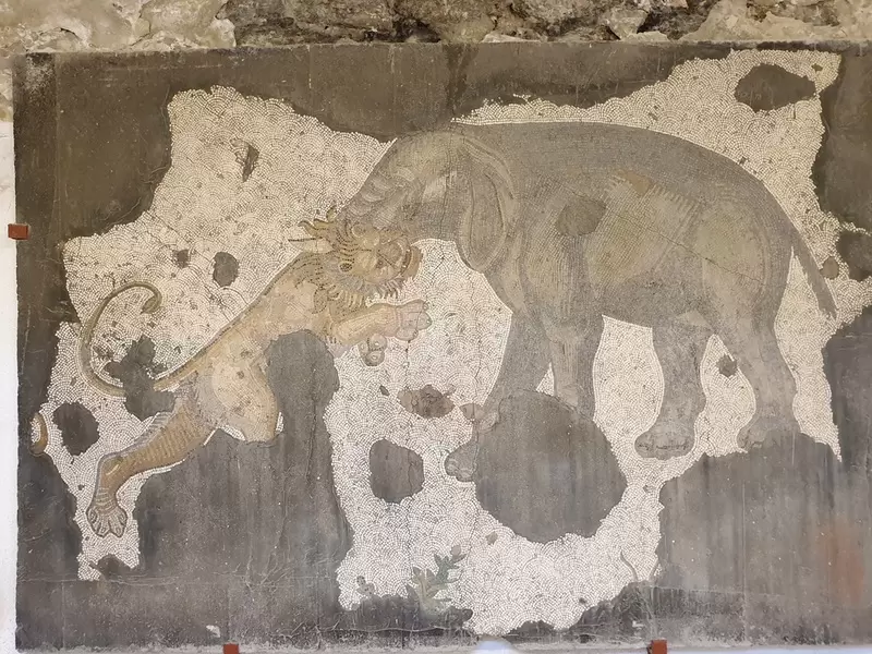 大宮殿モザイク博物館を発見する