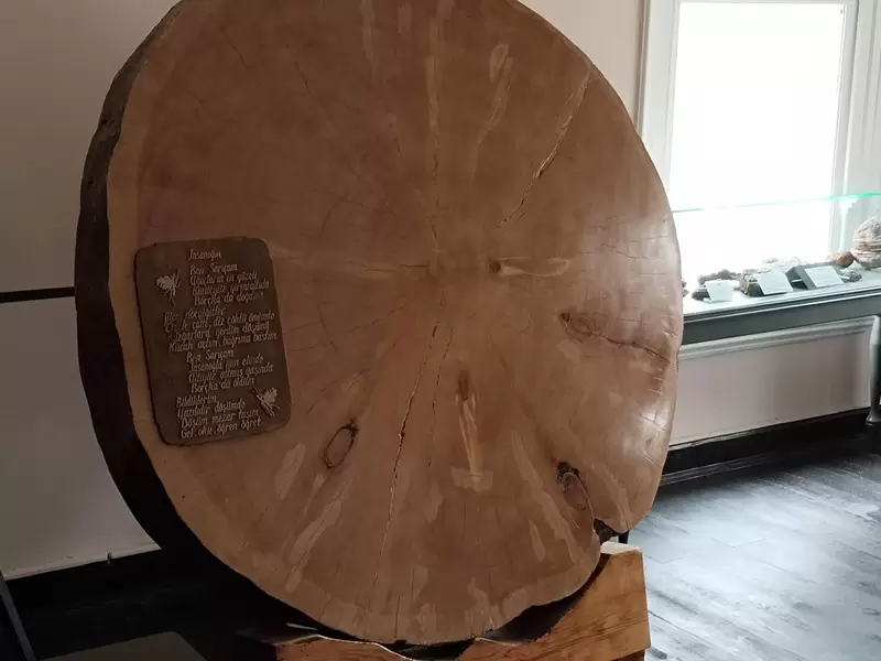 探索布尔萨林业博物馆