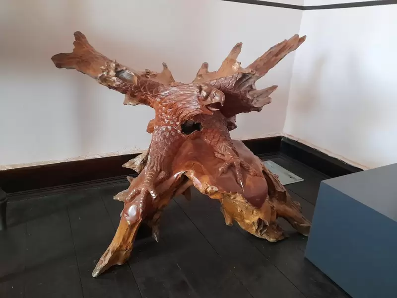 探索布尔萨林业博物馆