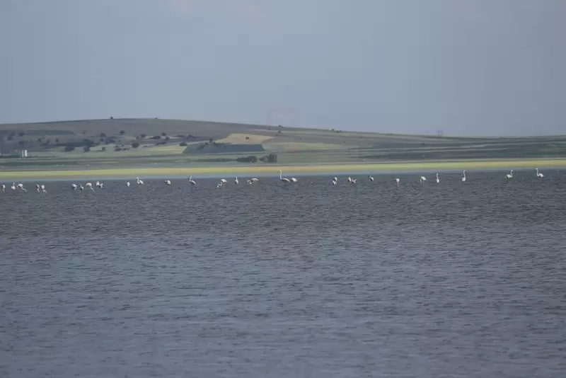Lake Seyfe