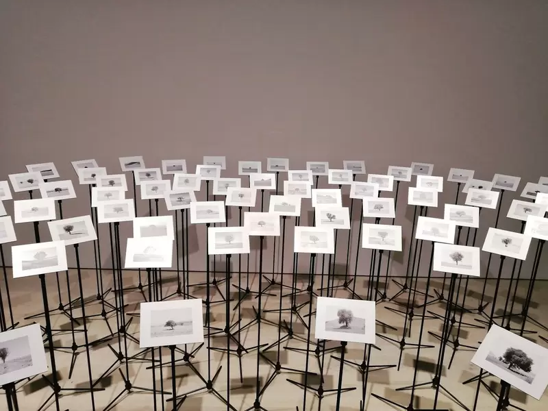 Откройте для себя Стамбульский музей современного искусства