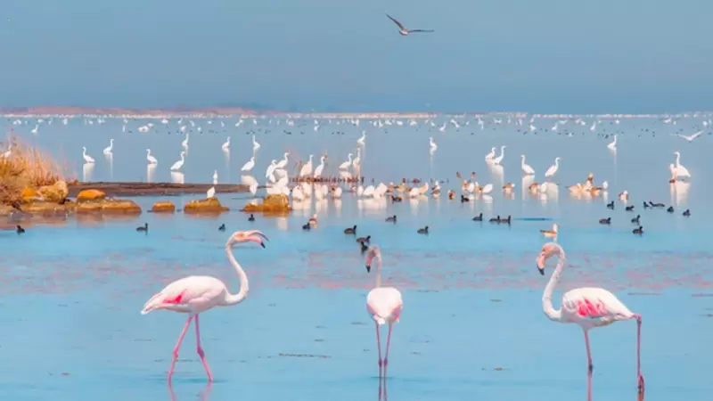 Lake Akyatan