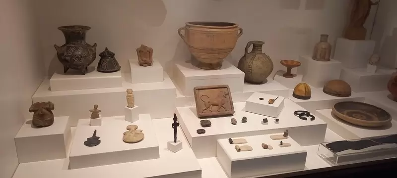 Откройте для себя музей Эдирне