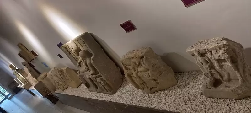 Откройте для себя музей Эдирне