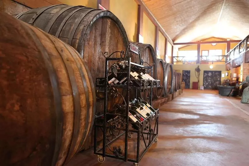 探索库特曼葡萄酒博物馆
