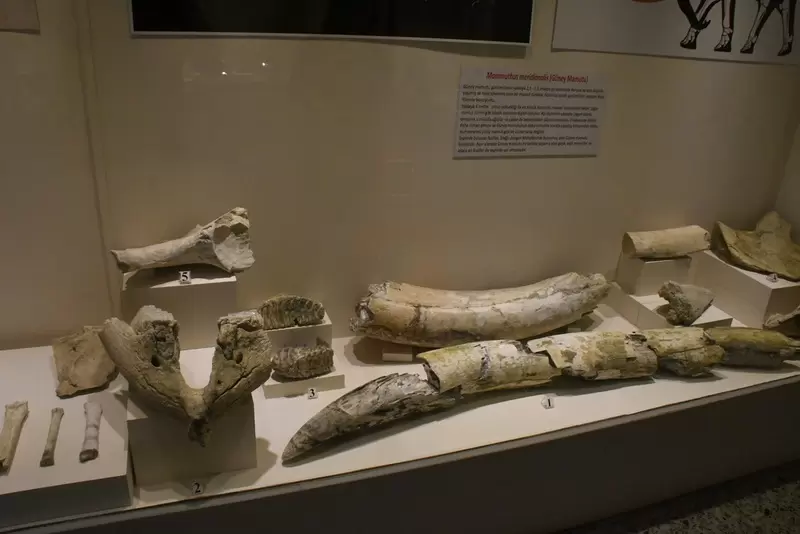 Scopri il Museo Ereğli