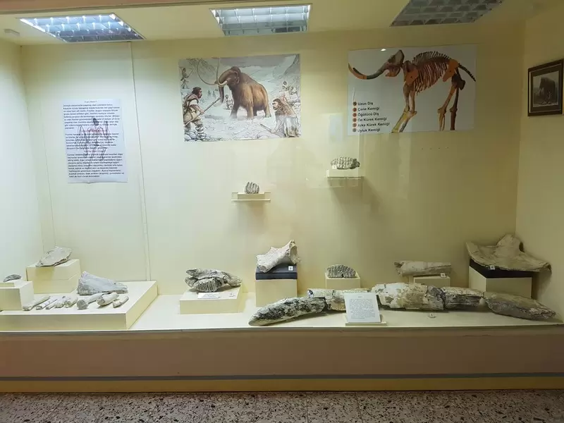 Scopri il Museo Ereğli