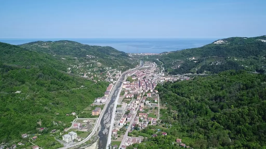Bozkurt