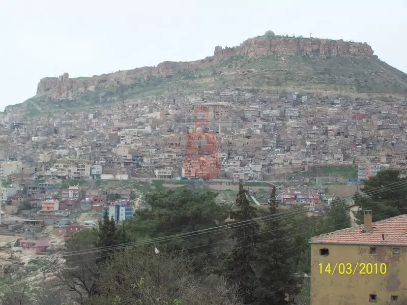 ماردين