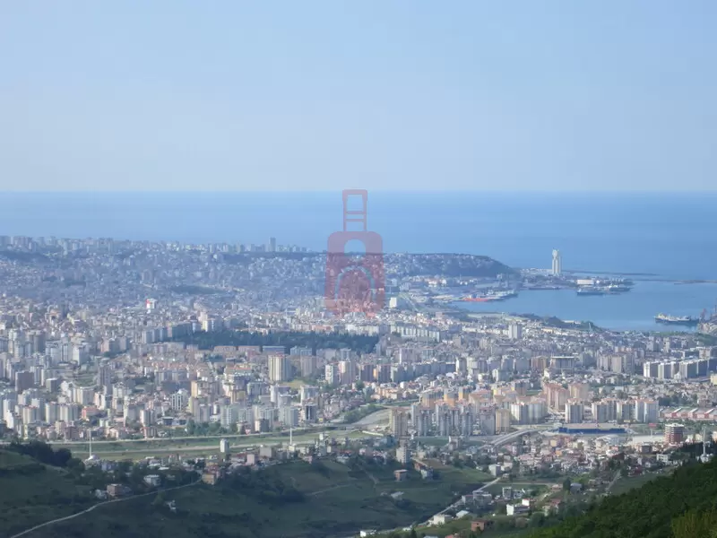Samsun