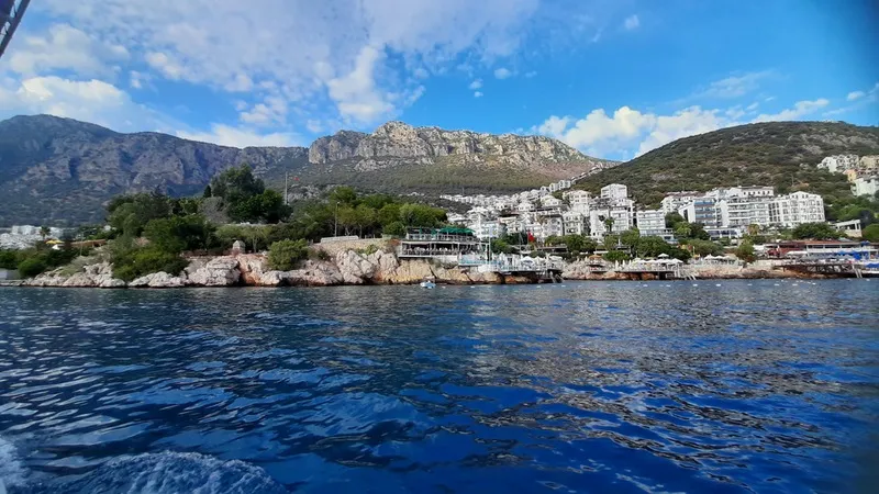 カシュを発見する