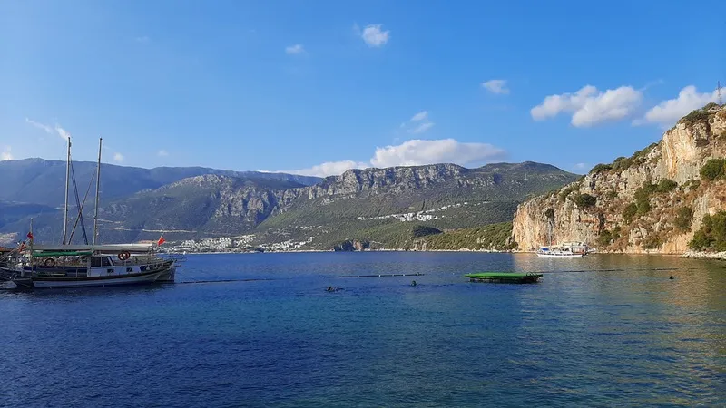 カシュを発見する