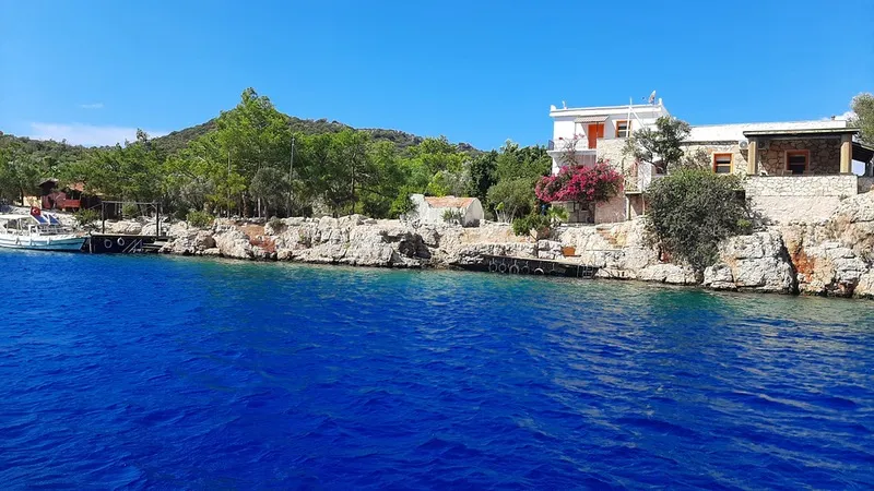 カシュを発見する