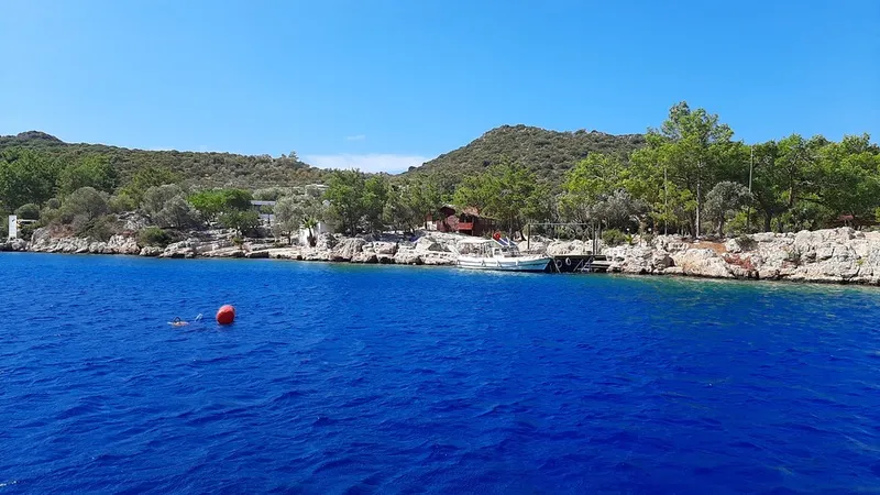 カシュを発見する