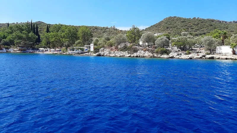 カシュを発見する