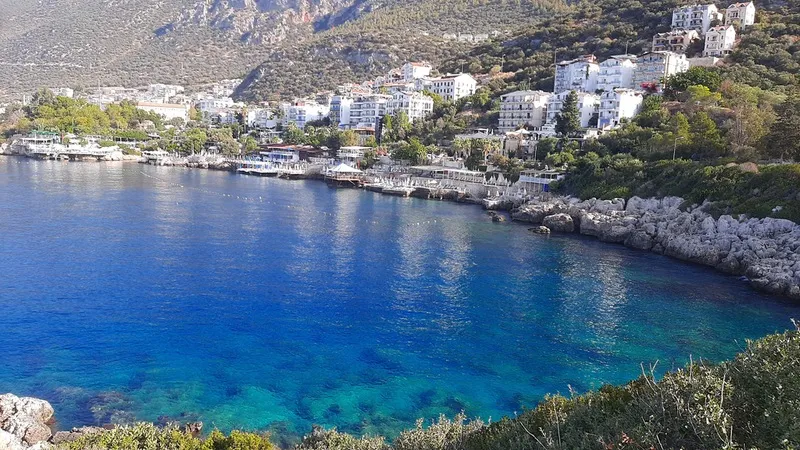 カシュを発見する