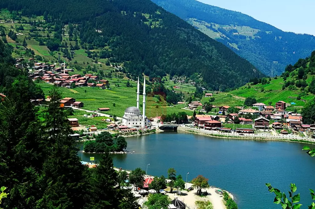 Laghi