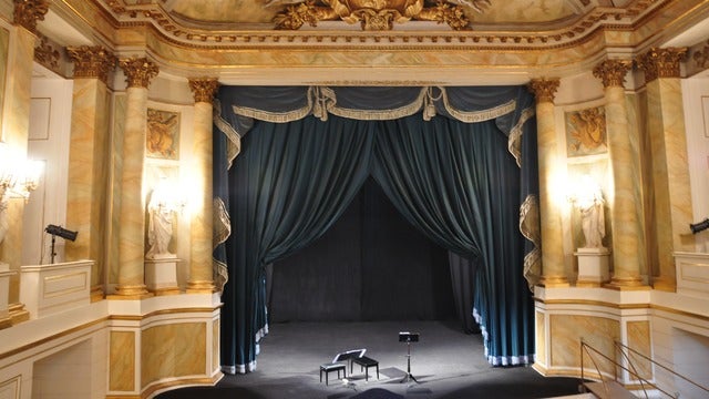Kaktüs Çiçeği
