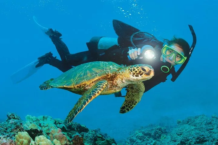 Mediterranean Diving Adventure from Antalya, Kemer