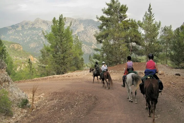 Horse Riding Tour in Bodrum with Hotel Pick Up