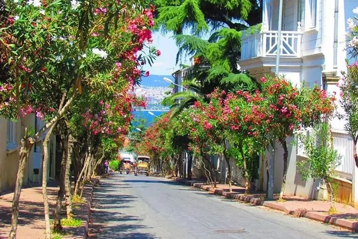 Tour a la Isla de los Príncipes (Büyükada) con Almuerzo y Viaje en Traslado por la Isla
