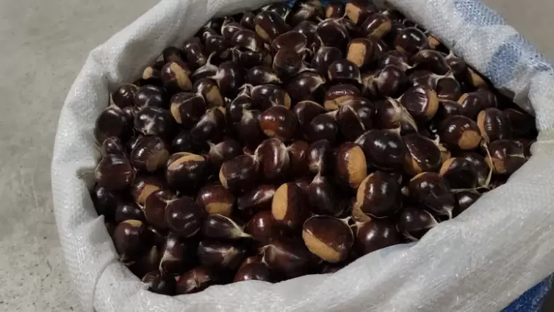 デュズチェスナット