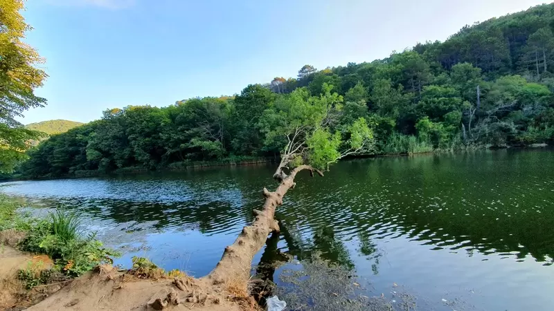 Kastro – Naturpark Çamlıköy