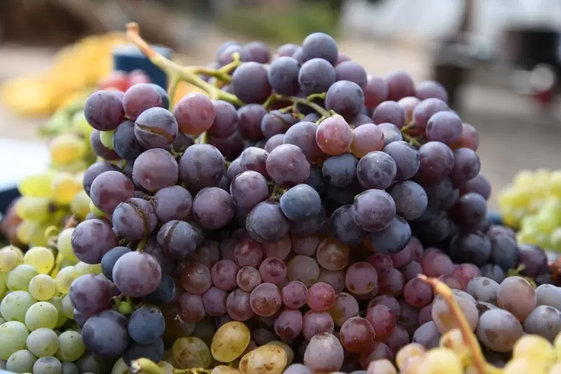 インセス カラエブレック ブドウ