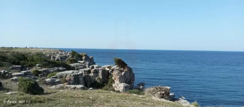 Kandıra Bağırganlı