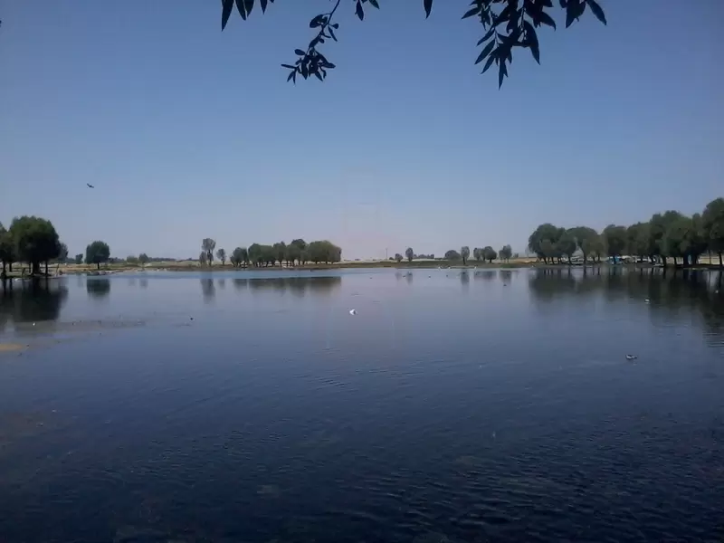 Yay lago
