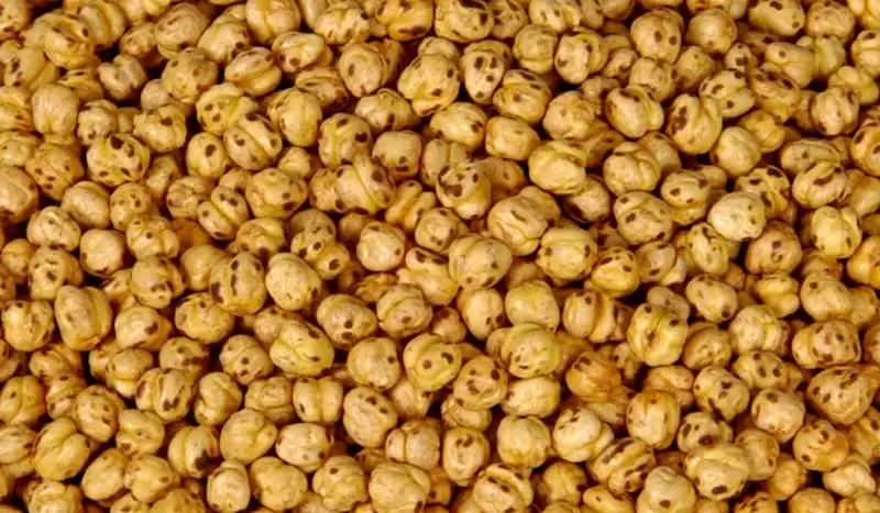 Ceci Arrostiti Denizli