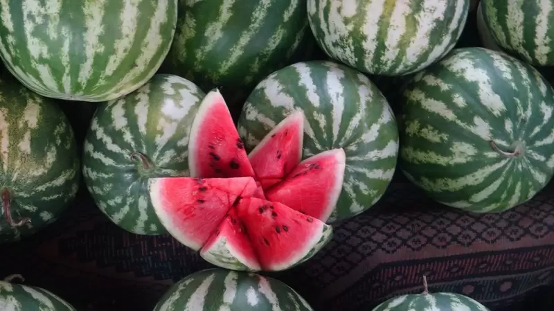 迪亚巴克尔西瓜