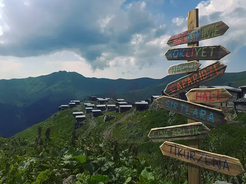 梅丹西克·布卡吉