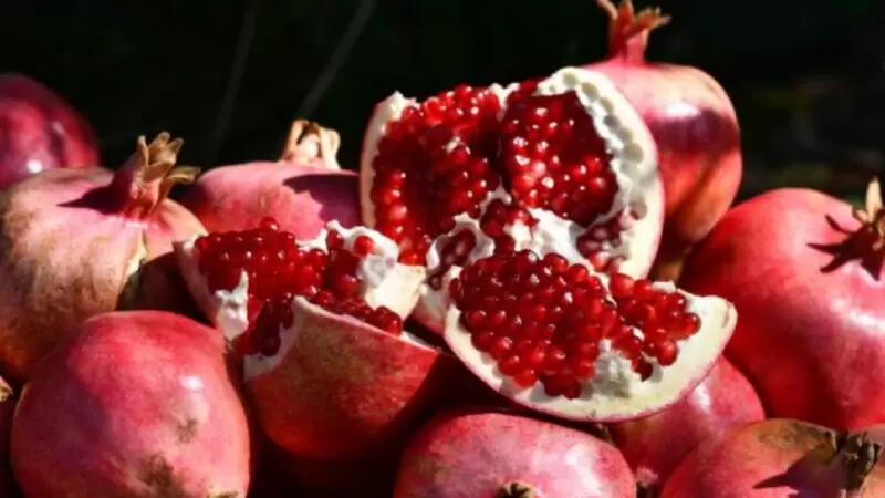 Gaziantep Oğuzeli Pomegranate