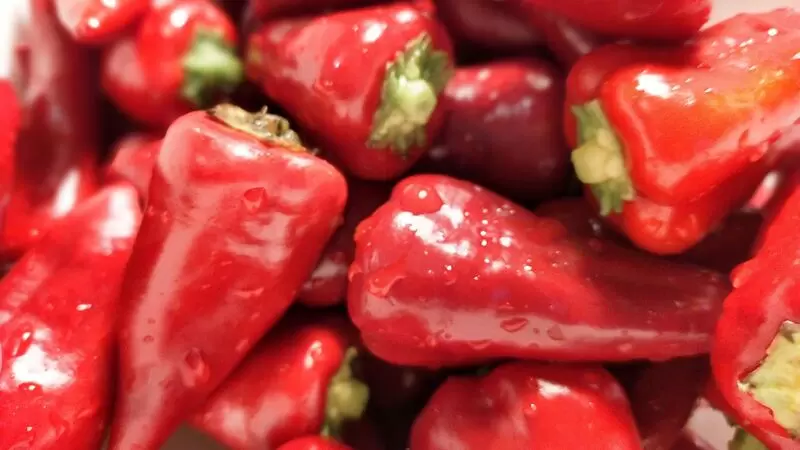 マラスペッパー